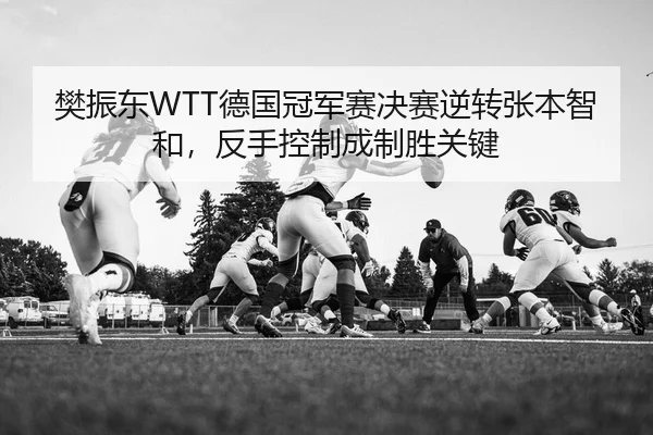 樊振东WTT德国冠军赛决赛逆转张本智和，反手控制成制胜关键