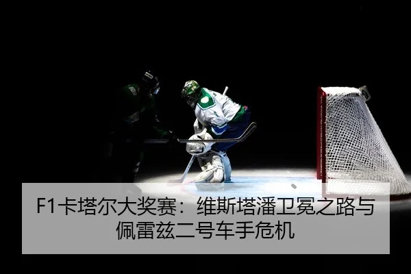 ka-ta-er-da-jiang-sai-wei-si-ta-pan-wei-mian-zhi-lu-yu-pei-lei-zi-er-hao-che-shou-wei-ji-2-856.jpg